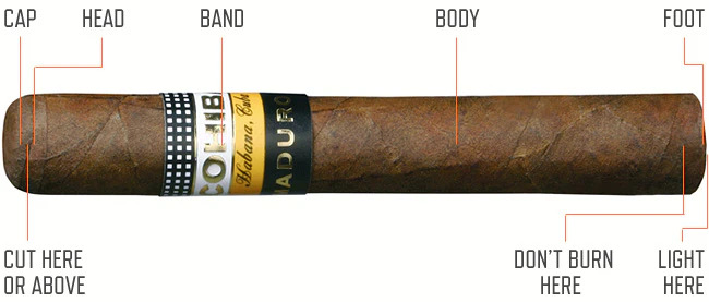 cigar-cutting-diagram_650x.jpg
