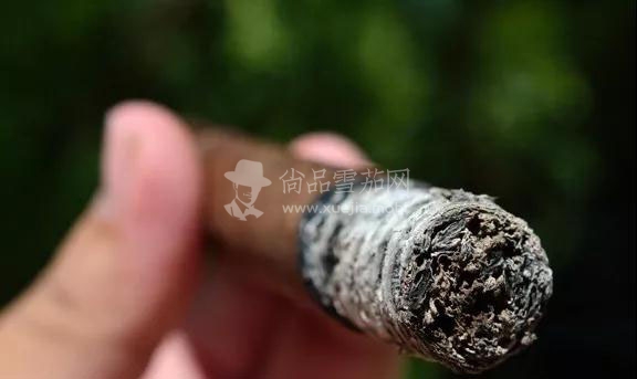 烟灰越长雪茄品质就越好吗？