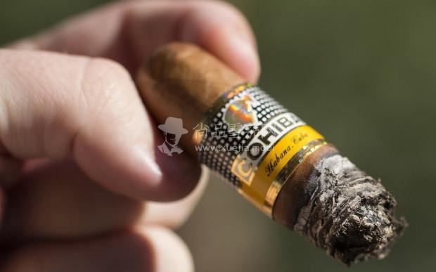 Cohiba-Medio-Siglo-3-620x413.jpg