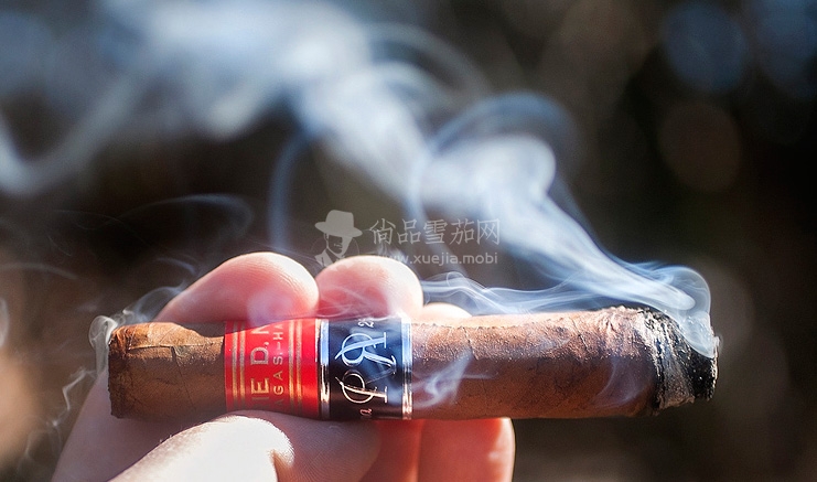 Partagas-Serie-D-No.4-Reserva.jpg
