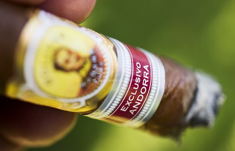 Bolivar-Short-Bolivar-ER-Andorra-3.jpg