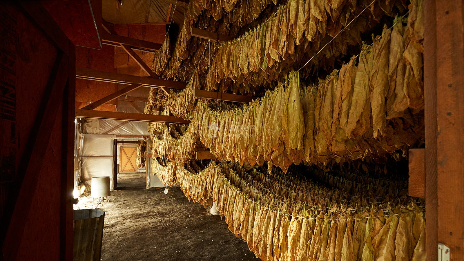 connecticutshadetobaccobarn-1600.jpg