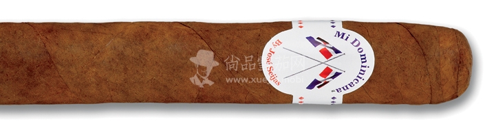 Mi Dominicana by José Seijas Robusto.jpg