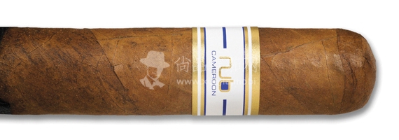 Nub Cameroon 358.jpg