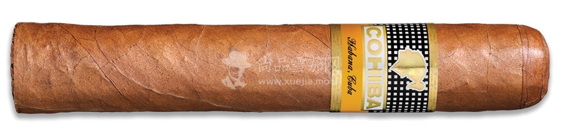 Cohiba Siglo VI (Tubo).jpg