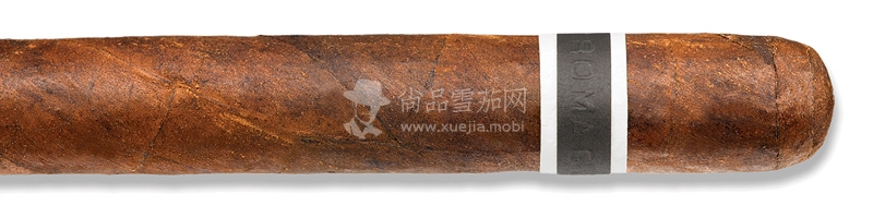 CroMagnon Anthropology.jpg
