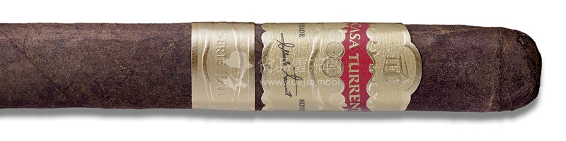 Casa Turrent Serie 1901 Robusto.jpg