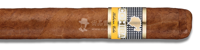 Cohiba Siglo VI (Tubo).jpg