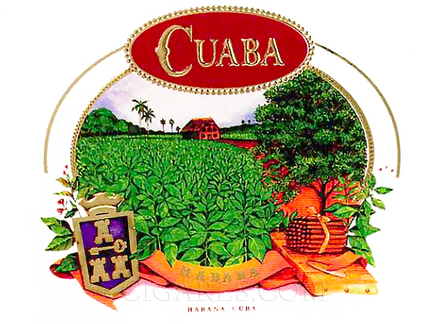 Cuaba.jpg