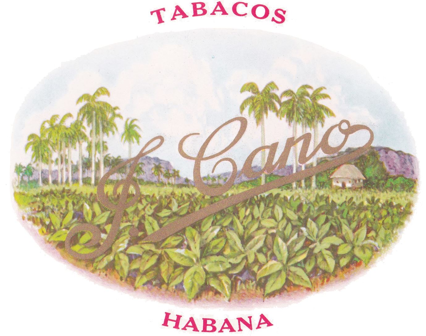 La Flor De Cano.jpg